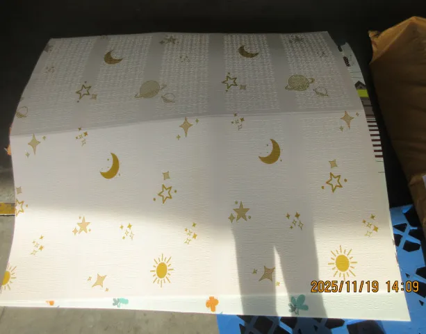 Covoras termo 0.6*200*180cm (asortiment) 009080 