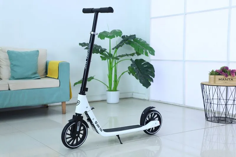 Trotineta Арт. 66991