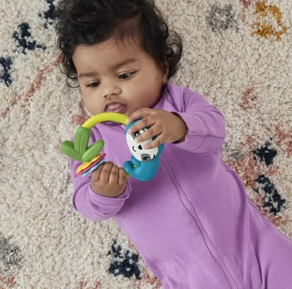 Fisher Price Zornăitoare cu dentier și ajutor în dezvoltarea motorică (as.) Fisher Price Zornăitoare cu dentier și ajutor în dezvoltarea motorică (as.)