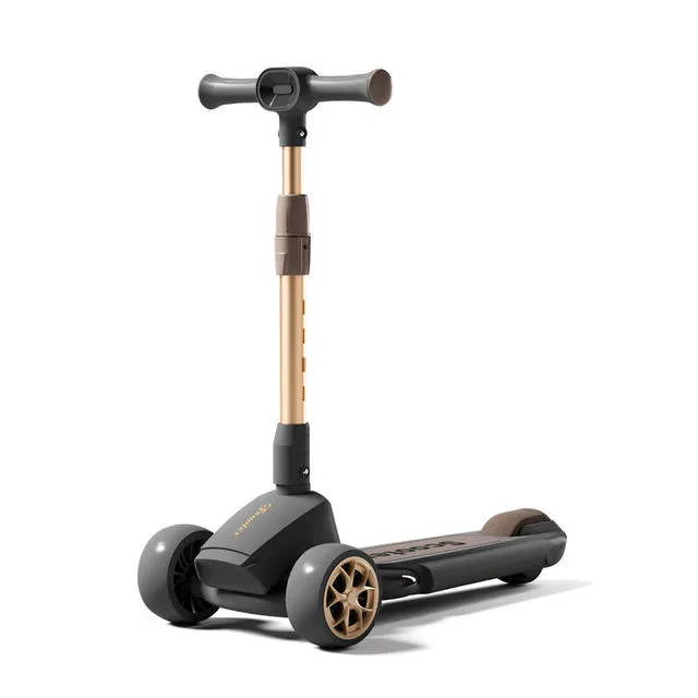 Trotineta Арт. 81061