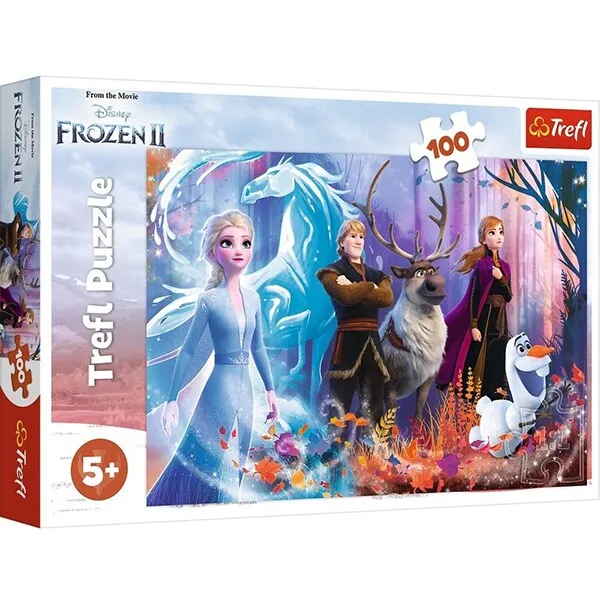 Magic Frozen 100elem. art. 16366