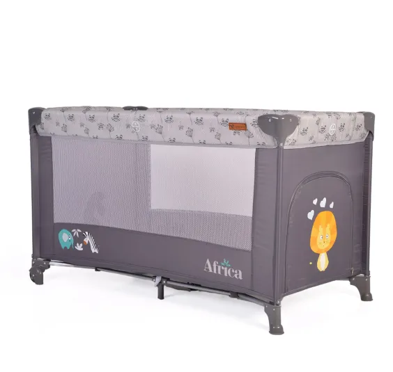 Manej Moni Africa Grey