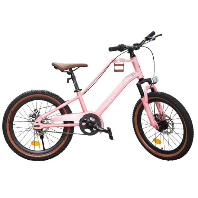 Bicicletă pentru copii Forever 20 art. KFC-20, roză, cod 229024