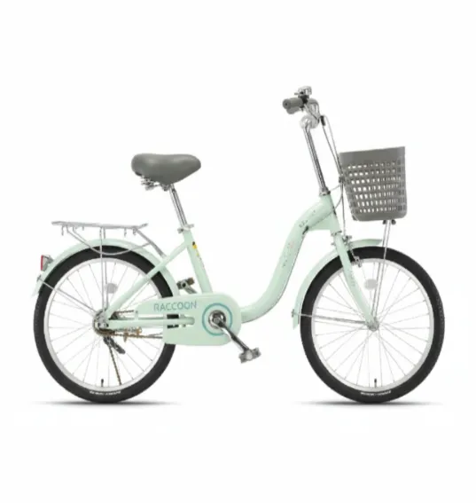 Bicicletă pentru copii cu 2 roți, 20 inch, verde, cod 2228D